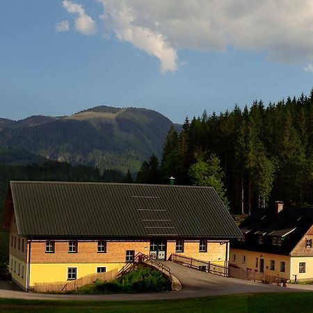 Ferienstadl - Hammerau Göstling an der Ybbs Exterior photo