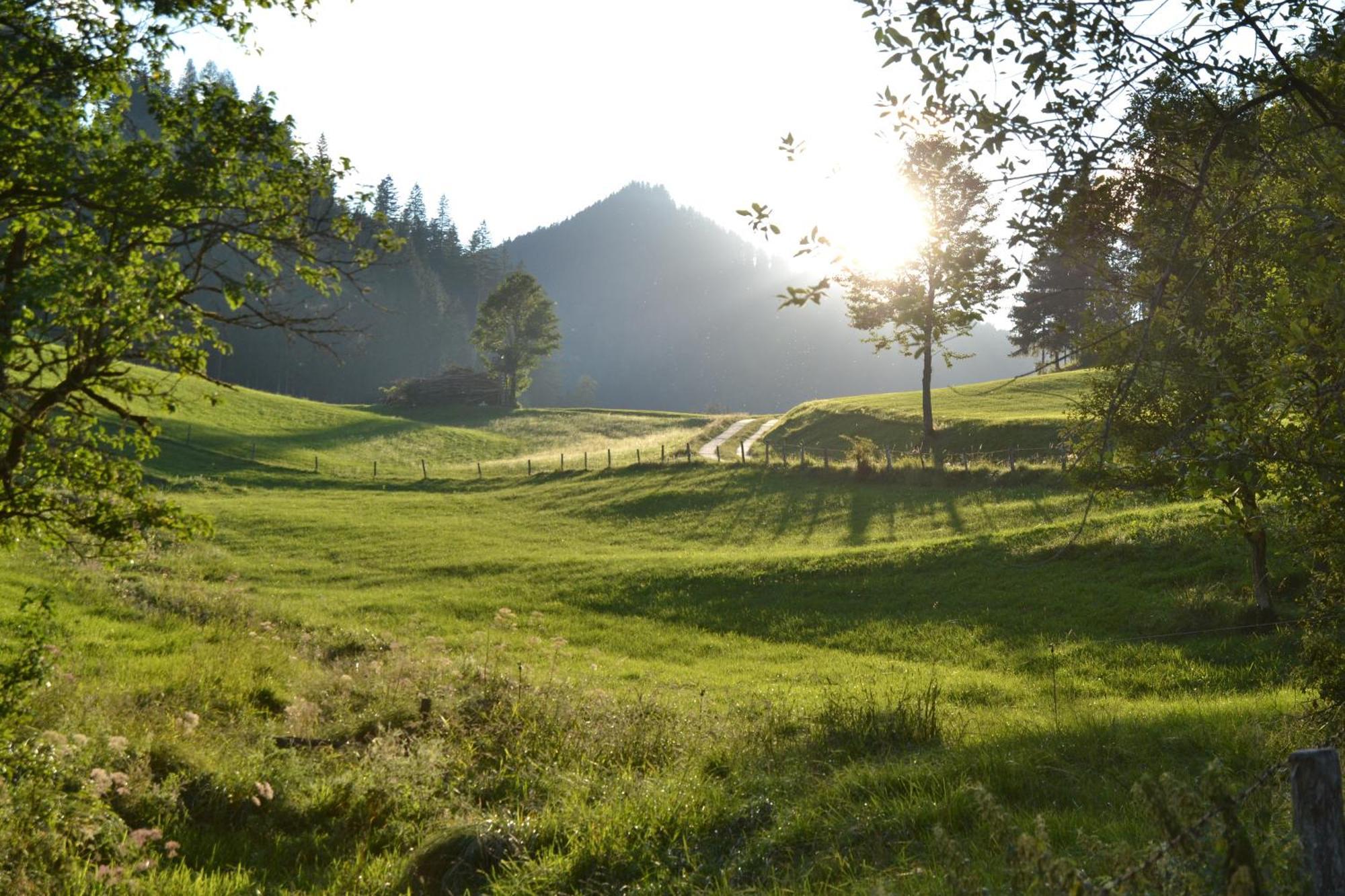 Ferienstadl - Hammerau Göstling an der Ybbs Exterior photo