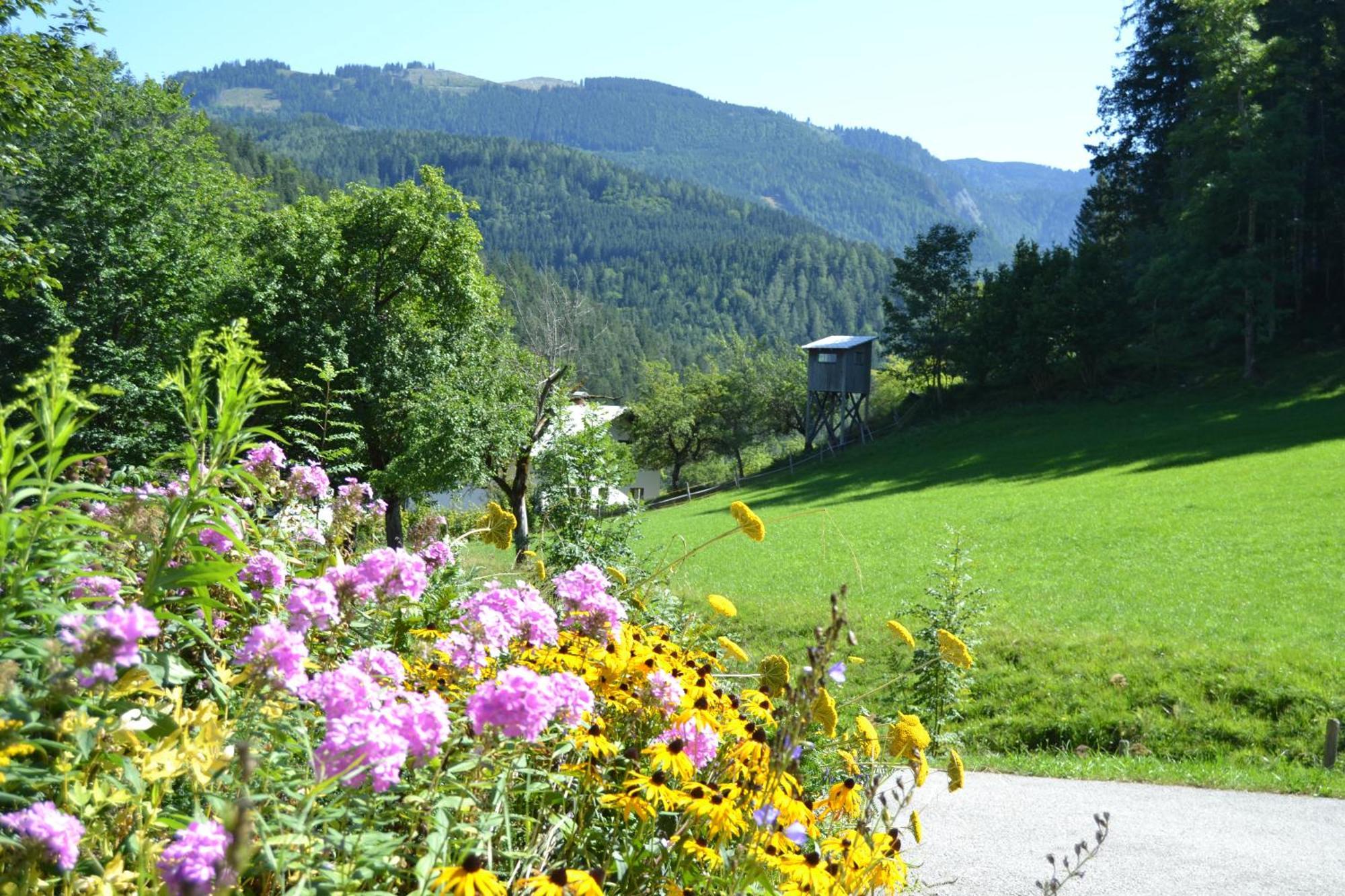 Ferienstadl - Hammerau Göstling an der Ybbs Exterior photo